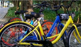 共享自行车爆料案例最新,揭秘行业乱象与用户权益挑战